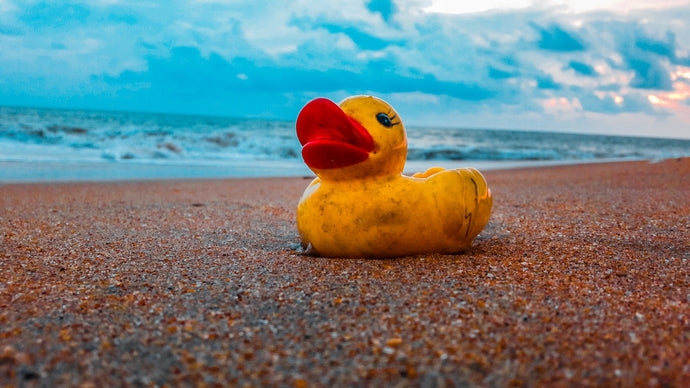 FRIENDLY FLOATEES: HOW RUBBER DUCKS HELPED TO SHAPE OCEAN SCIENCE