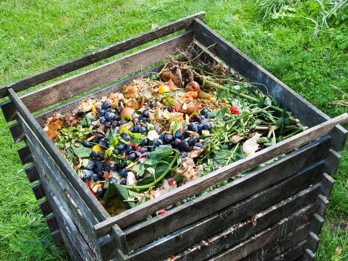 COMPOSTING IN THE CITY